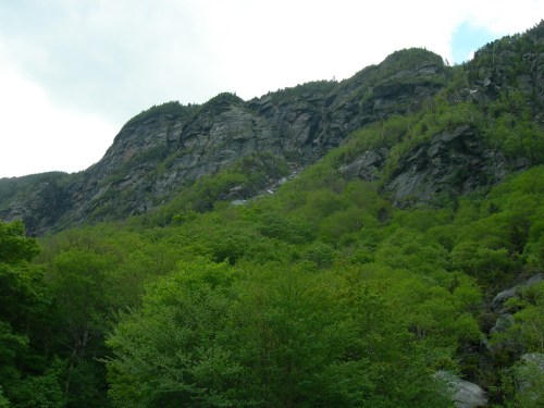 Lush green trees at the base of a rocky mountain under a cloudy sky.