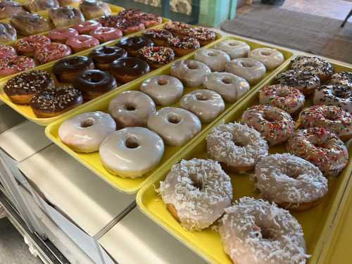 A variety of colorful donuts on yellow trays, including glazed, chocolate, and sprinkled options.