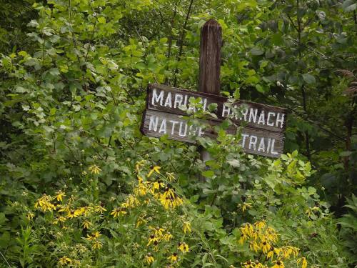 A weathered wooden sign for "Maria Harnach Nature Trail" surrounded by lush green foliage and yellow wildflowers.
