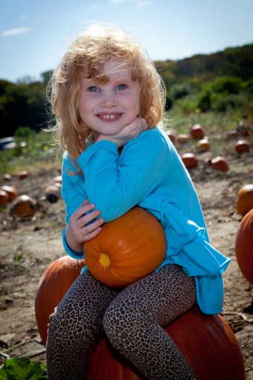 A smiling girl with curly hair sits on a pumpkin, wearing a blue shirt and leopard print leggings in a pumpkin patch.