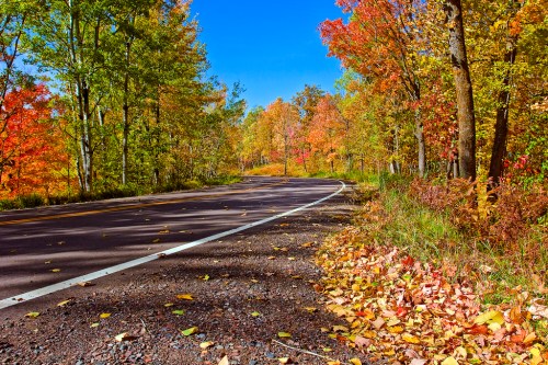 A winding road surrounded by vibrant autumn trees and fallen leaves under a clear blue sky.