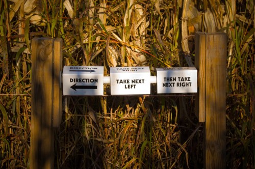 Signpost with directional arrows: "Direction" left, "Take next left," and "Then take next right." Surrounded by tall grass.
