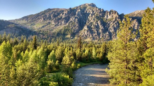 A serene landscape featuring a river winding through lush green trees, with a majestic mountain in the background.