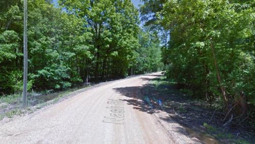A gravel road lined with lush green trees on both sides, under a clear blue sky.