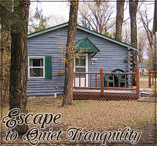 A cozy log cabin surrounded by trees, inviting a peaceful escape into nature.