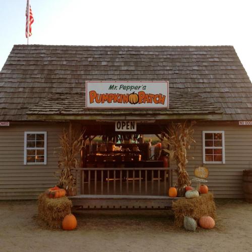 A rustic pumpkin patch stand with a sign reading "Mr. Pepper's Pumpkin Patch," decorated with pumpkins and hay bales.