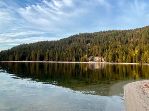 Serene lake surrounded by lush green forests and a sandy shore under a clear blue sky.