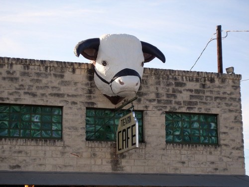 A large cow head sculpture mounted on a brick building, with a sign reading "Texas Cafe" hanging below.
