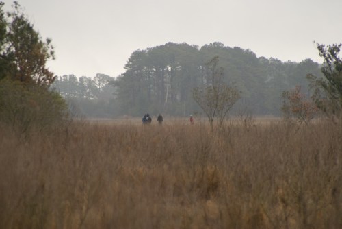 Three people walking through a foggy, grassy landscape with trees in the background.