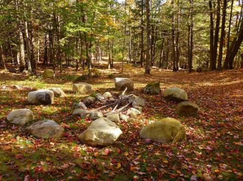 A circle of large stones surrounds a fire pit in a forest clearing, with colorful autumn leaves scattered on the ground.