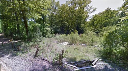 A wooded area with dense trees and overgrown vegetation, featuring scattered debris on the ground.