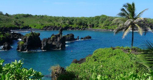 Lush green coastline with rocky formations and clear blue water under a bright sky, featuring palm trees.