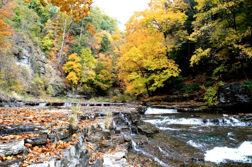 A serene river flows through a colorful autumn landscape with vibrant orange and yellow trees lining the banks.