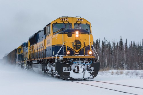 A yellow and blue train travels through a snowy landscape, surrounded by tall evergreen trees.