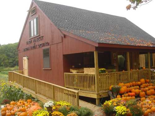 A red farm market building with a wooden porch, surrounded by colorful pumpkins and autumn foliage.