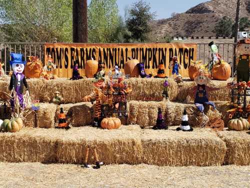 A festive pumpkin patch display with hay bales, pumpkins, and colorful decorations for Tom's Farms Annual event.