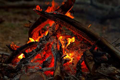 A close-up of a campfire with vibrant flames and glowing embers among charred wood.