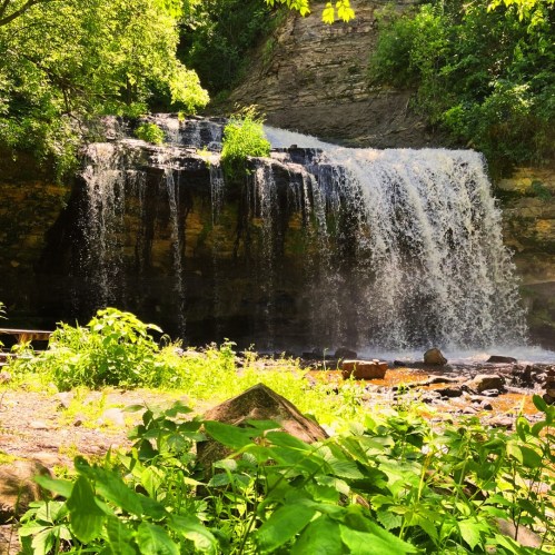 A serene waterfall cascading over rocks, surrounded by lush greenery and sunlight filtering through the trees.