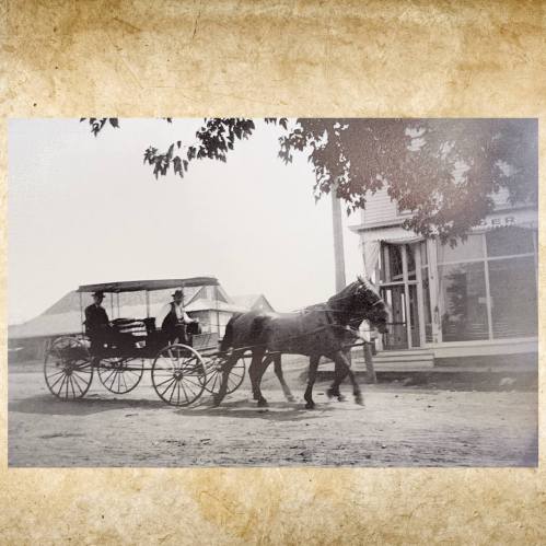 A vintage black-and-white photo of a horse-drawn carriage passing by a storefront under a tree.