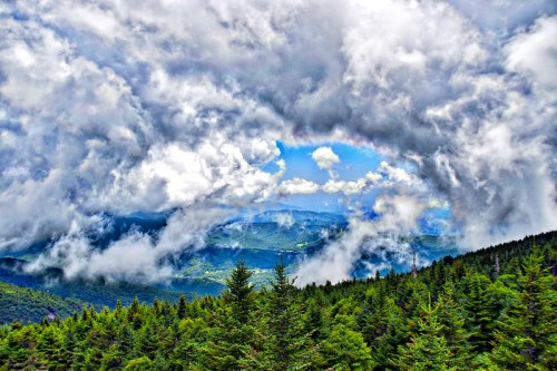 A panoramic view of a lush green forest under a dramatic sky filled with clouds and glimpses of blue sky.