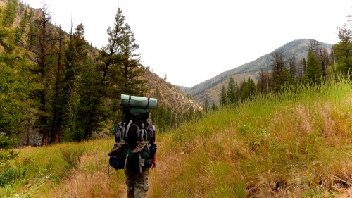 A hiker with a large backpack walks along a grassy trail surrounded by mountains and trees.
