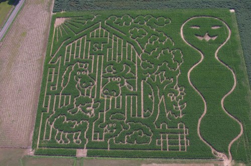Aerial view of a corn maze featuring animals, a barn, and a whimsical character design.