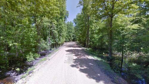 A gravel road lined with lush green trees, leading into a serene forested area.