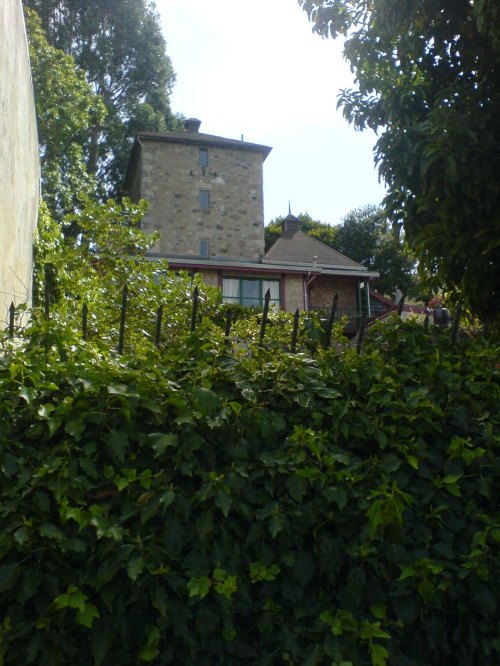A stone house partially obscured by lush green foliage and trees under a clear sky.