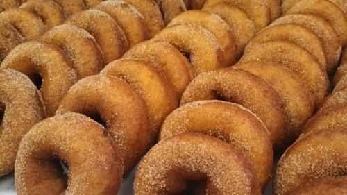 A close-up of freshly baked, golden-brown donuts coated in cinnamon sugar, arranged in neat rows.