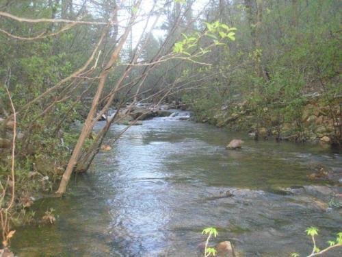A serene river flows through a wooded area, surrounded by trees and rocky banks.