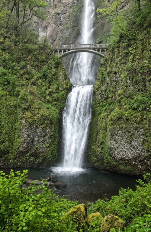 A cascading waterfall flows into a serene pool, surrounded by lush greenery and a stone bridge above.