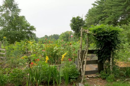 A lush garden filled with colorful flowers and greenery, framed by a rustic wooden gate and trees in the background.