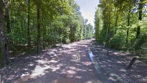 A dirt road lined with trees, leading into a lush green forest under a clear blue sky.