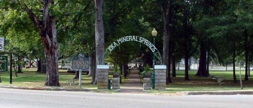 Archway reading "Mineral Springs" at the entrance of a tree-lined park with a pathway and green spaces.