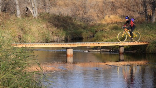 A cyclist rides a yellow bike across a wooden bridge over a calm stream surrounded by tall grass and trees.