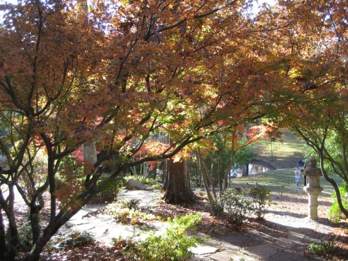 A serene garden scene with vibrant autumn leaves, a stone lantern, and a path leading to a distant figure.