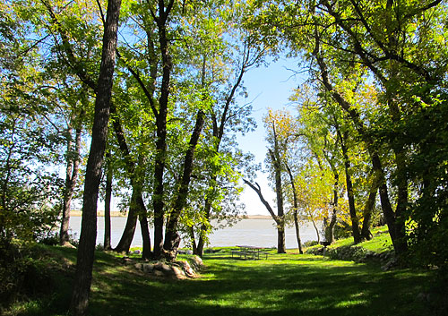A serene riverside scene with lush green trees and a clear blue sky, featuring a grassy area near the water.