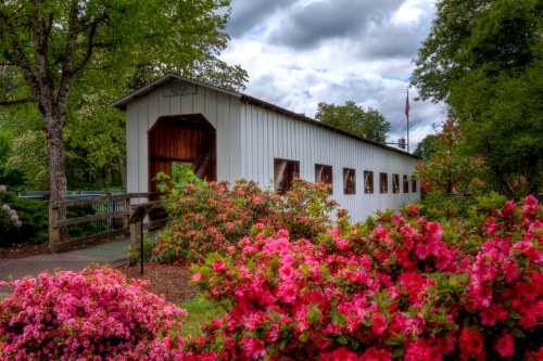 A white covered bridge surrounded by vibrant pink azaleas and lush greenery under a cloudy sky.