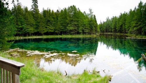 A serene lake surrounded by lush green trees, reflecting the sky and vegetation in its clear waters.