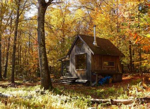 A rustic wooden cabin surrounded by vibrant autumn foliage in a serene forest setting.