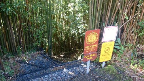A trail entrance surrounded by tall bamboo, featuring signs for the Puu Ula Ula Trail in a lush, green setting.