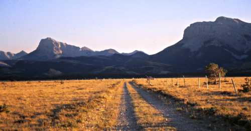 A gravel road leads through a golden field towards majestic mountains under a soft sunset sky.