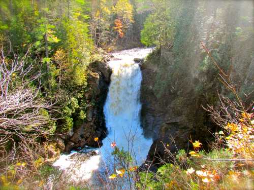 A cascading waterfall surrounded by lush green trees and autumn foliage, creating a serene natural scene.