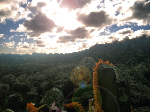 A rocky landscape under a bright sky with clouds, featuring colorful flowers in the foreground.