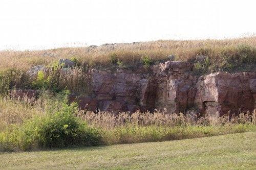 A rocky outcrop surrounded by tall grass and wild plants under a clear sky.