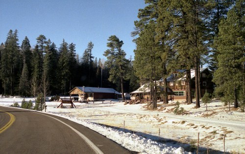 A snowy landscape with a winding road, surrounded by tall pine trees and rustic buildings.