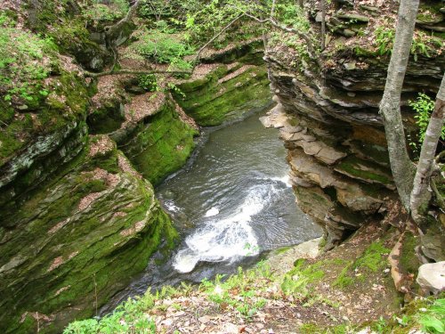 A serene river flows through a moss-covered canyon surrounded by lush greenery and rocky cliffs.