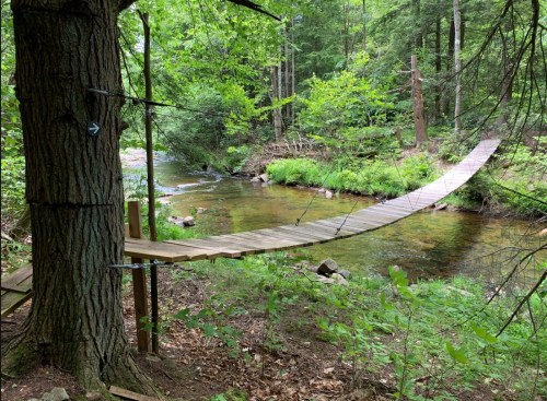 A wooden bridge spans a small stream in a lush, green forest, surrounded by trees and foliage.