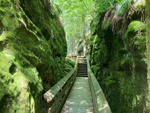 A wooden walkway through a lush, green canyon with moss-covered rock walls and dappled sunlight filtering through trees.
