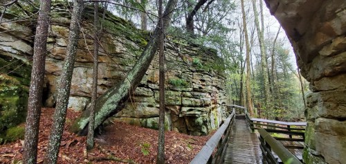 A wooden walkway leads through a forest with rocky cliffs and trees, surrounded by damp, earthy ground.
